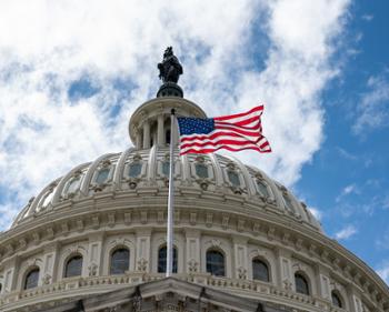 US Capitol and US Flag