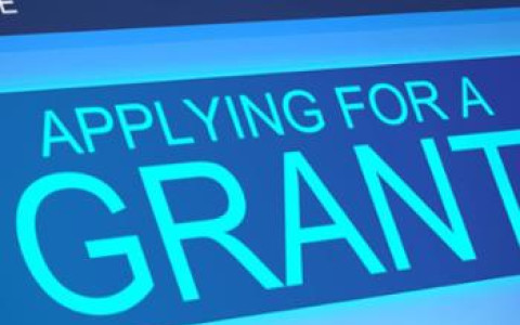 grant-applicationsmall-1-issues